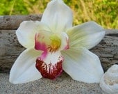 Orchid Flower Hair Clip-Weddings, Beach Destination Weddings, Vacations, Tropical Flowers, Hawaiian, Paradise, Floral Hair Clips