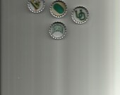 University of Oregon Ducks Bottle Cap Magnets set of 5
