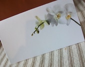 Blank Place or Escort Cards - SAMPLE .20 - Any Design