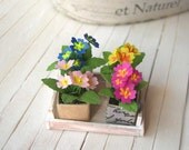 Dollhouse Primroses crate in 1/12 scale