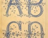 antique french alphabet letters ABCD leaves pattern embroidery digital
