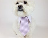 Dog shirt and tie collar-  dog tie- gingham tie- wedding dog clothing- formal wear for dogs