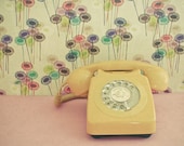 Ring Ring - Still life photography, rotary telephone, mustard yellow, pastel pink, feminine decor, bedroom art 8x8 Print