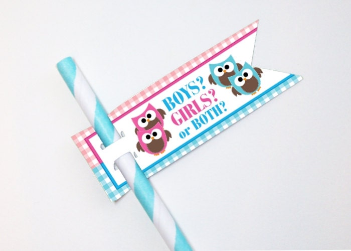 TWINS, 24 Straw Flags, Sucker Tags, Cake Pop Tags, Baby Gender Reveal Party, Baby Shower, Owls Il_170x135
