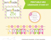 Mini Lemonade Stand Kit - Printable - Dots GIRL