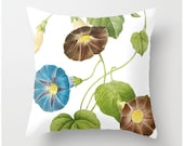 Decorative Throw Pillow 20x20 Morning Glory vintage botanical Pierre-Joseph Redouté