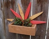 Cheerful Starburst Planter Box for small potted plants and flowers