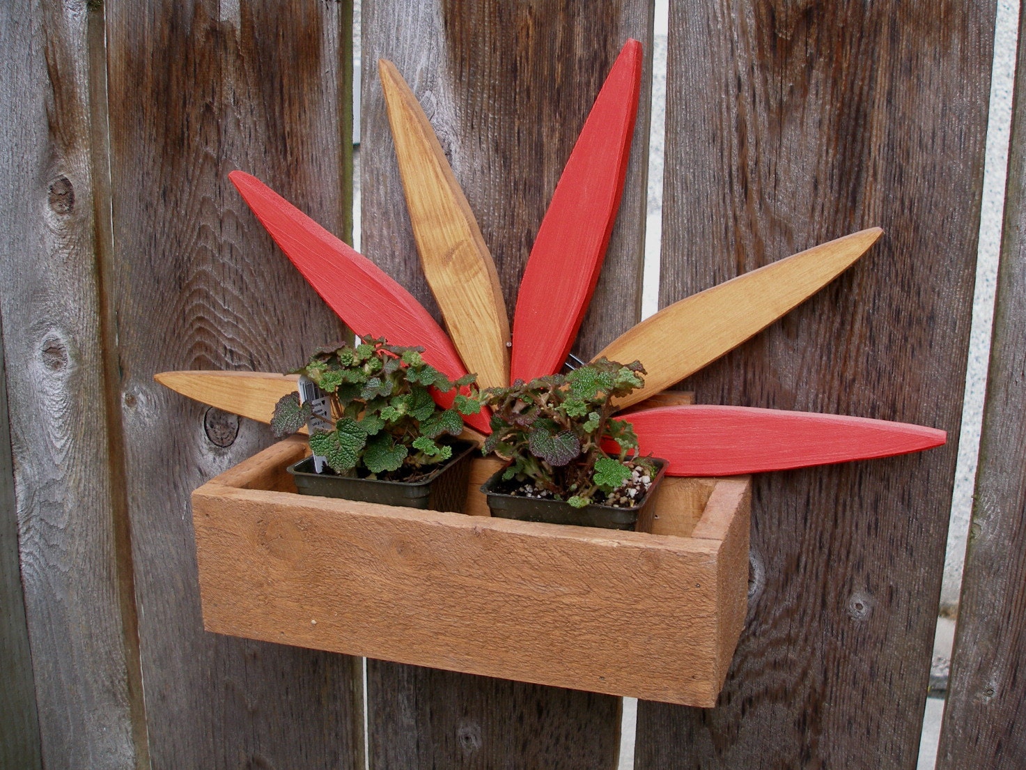 Cheerful Starburst Planter Box for small potted plants and flowers
