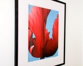Red June Limited Edition Print 16x21