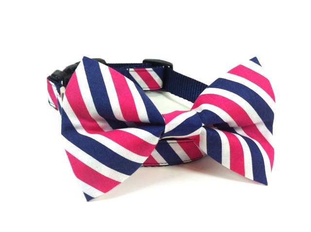 Dog Bow Tie Collar - Navy & Hot Pink Preppy Stripes