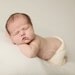 LAST ONE 2 yards pearly creamy white knit beanbag photography backdrop fabric and wrap ReAdY tO sHiP
