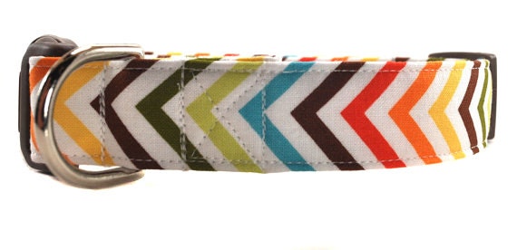 The Chevron - Dog Collar