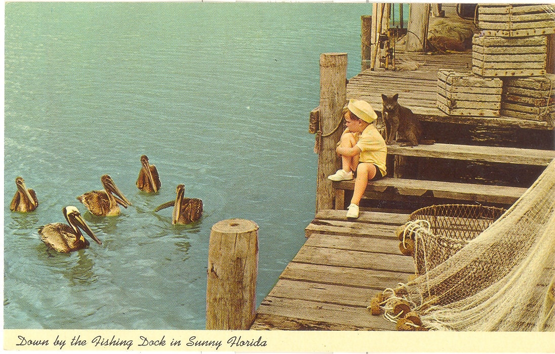 Vintage Florida Postcard - Down by the Fishing Dock in Sunny Florida Little Boy Pelicans Cat