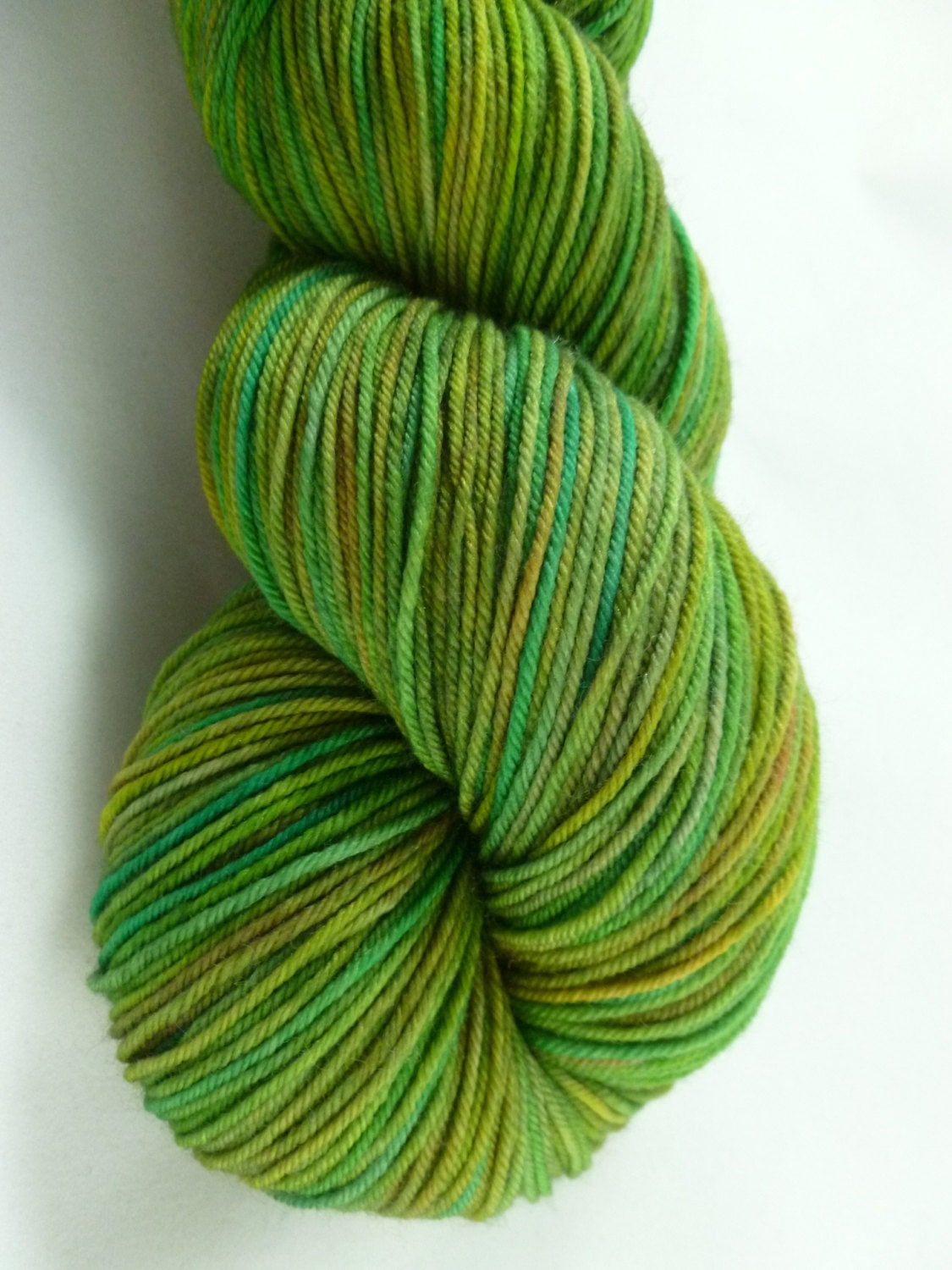 Cartoon Series: "Leonardo" Superwash Merino/Nylon Fingering Yarn Scops