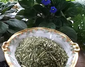 Rue, Herb of Grace, Herb of Grace, Herbygrass, Garden Rue, Mother of Herbs, Rewe