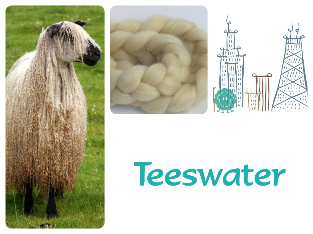 Teeswater Wool Roving/Top - Undyed Fiber for Spinning (16 oz.) - FREE SHIPPING