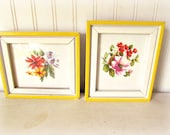 Shabby Chunky Yellow and White Framed Botamicals / Cottage Botanical Prints / Yellow Flower Prints