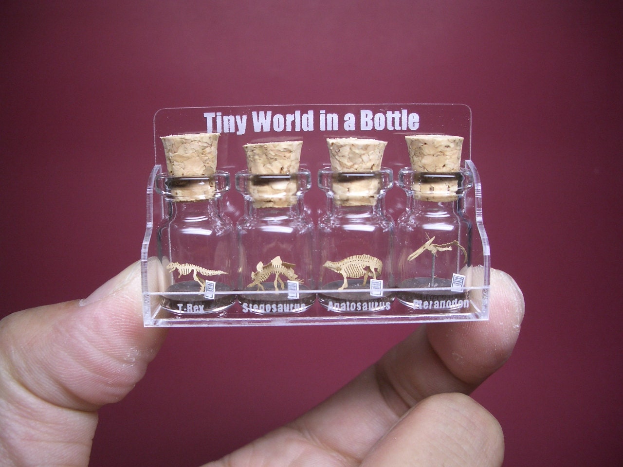 4 kinds of tiny dinosaurs in a tiny bottle in a small cool case