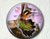 Pocket Mirror Hummingbird  Buy 3 get 1 Free  311-S
