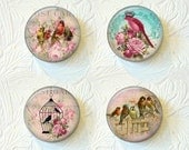 Magnet Set Birds  "Buy 3 get 1 Free"   221M