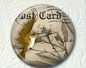 Pocket Mirror Hummingbird  Buy 3 get 1 Free 324