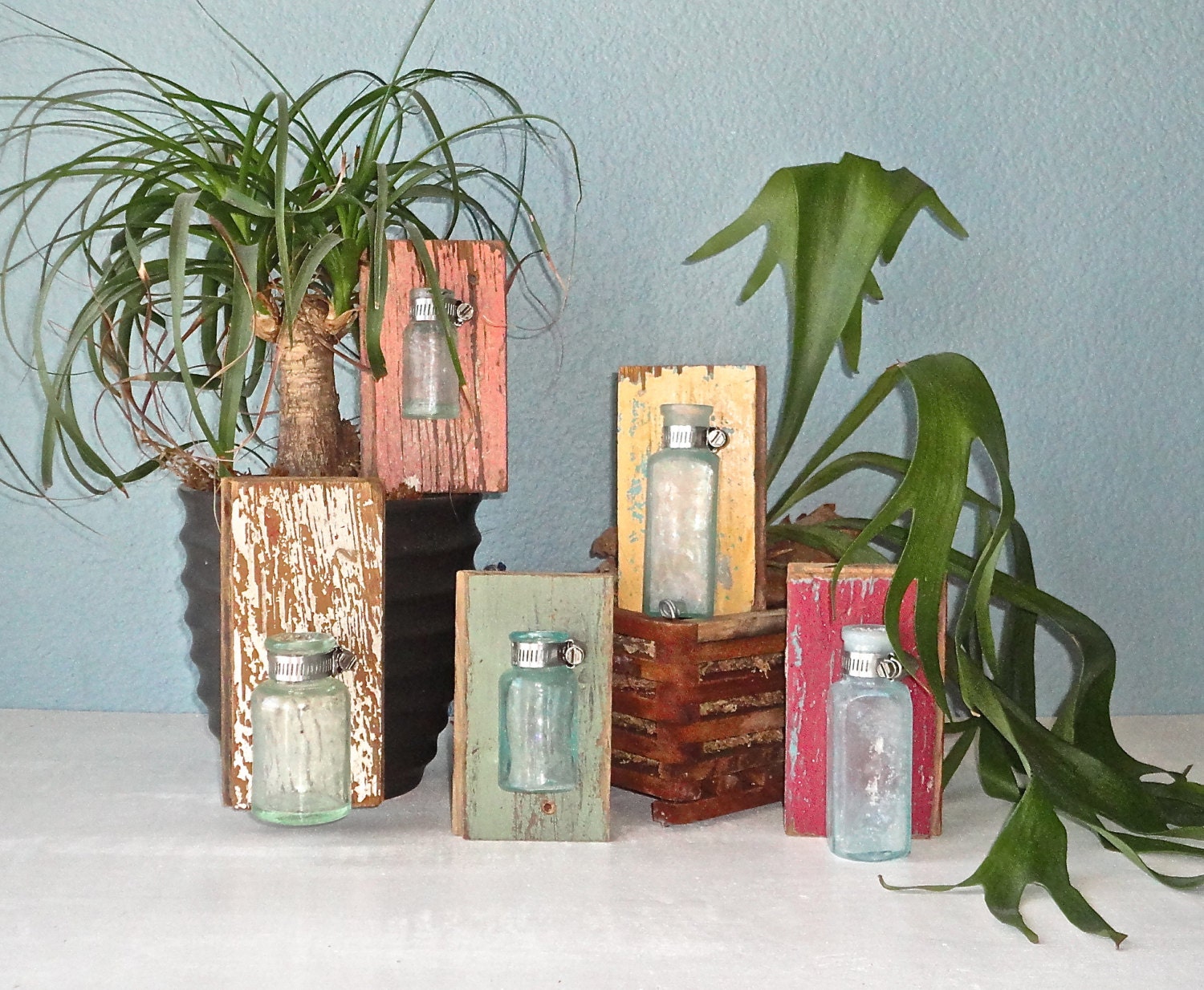 Upcycled Wall Vases Made From Antique Medicine Bottles and Reclaimed Wood