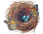 Monarch Butterfly Nest - Archival Quality Print from the Original Watercolor