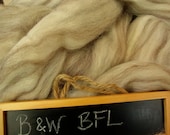 BFL roving, by the ounce mixed natural black and white, undyed