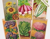 144 Antique French Flower & Vegetable Seed Packet Labels Botanical OLD PRINT Free Shipping
