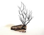 Tree Wire Sculpture