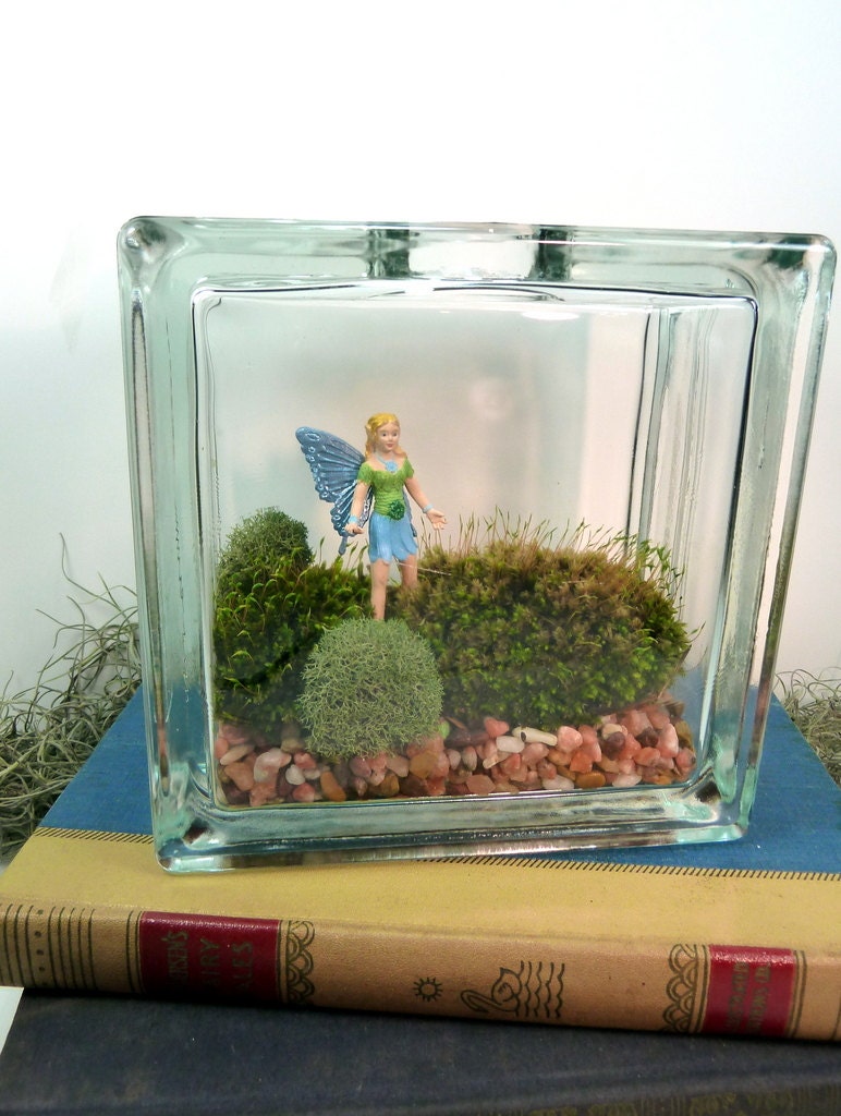 TERRARIUM, Glass Block Terrarium, Fairy, Moss, Lichen.  Great for HOME or OFFICE. Nice Unusual Gift. Terrariums by mossterrariums on Etsy.