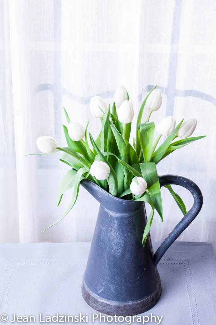 11x14 White Tulip Still Life - Home Decor - White Flowers - Shabby Chic - For Her - Home Decor - Botanical Print - Gray, White, Vintage - PhotoLadz