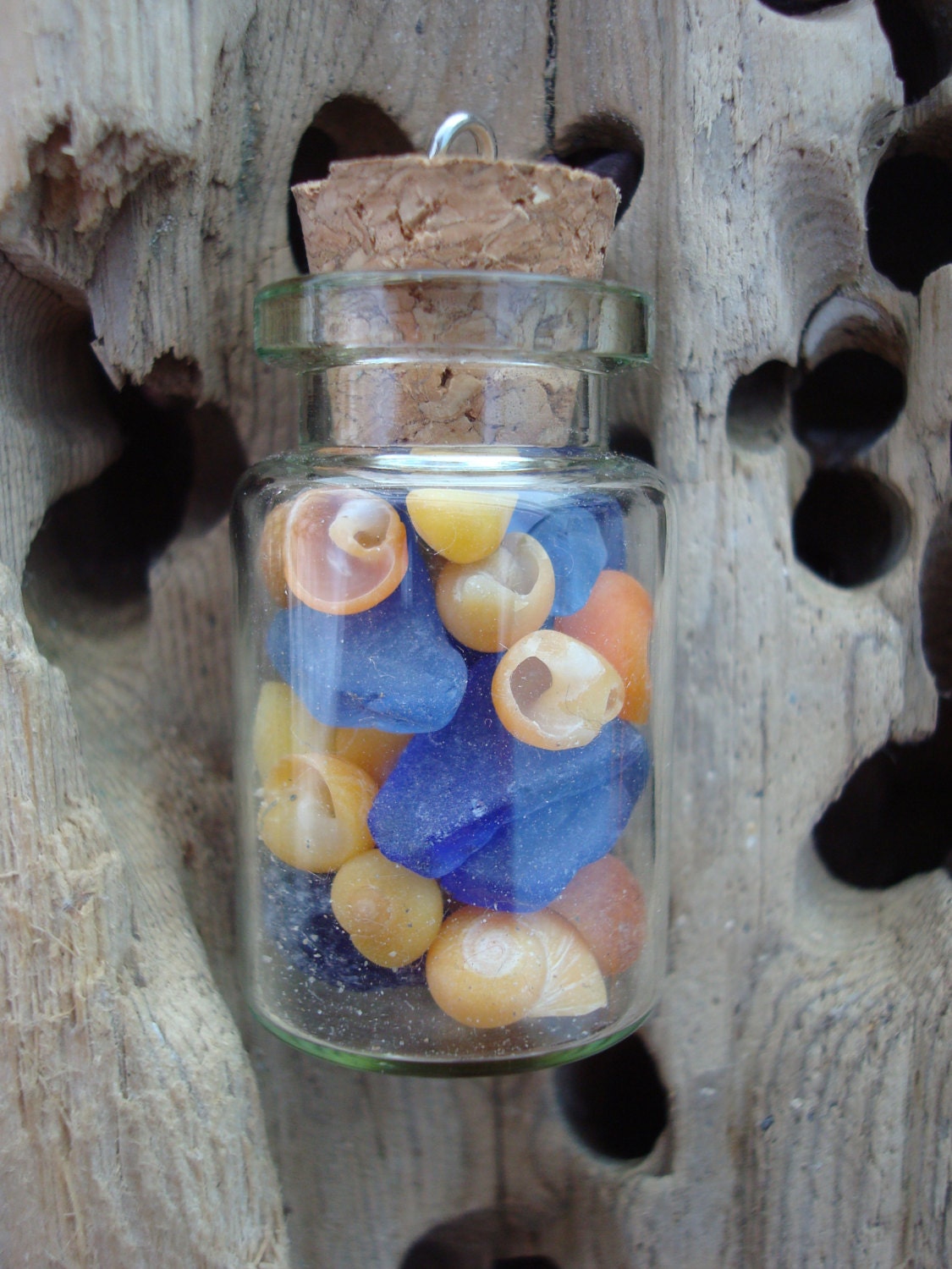 Irish Sea Shells and Blue Sea Glass Collection in Tiny Glass Vial Beachcomber's Treasure