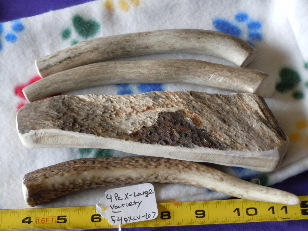 1- 4 Piece Extra-Large Variety Deer Antler Dog Chews, f4pxlv-67