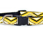 Cat Collar - The Stylist