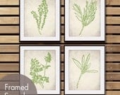 French Provincial Herb Garden Collection - Set of 4 - 8x10 Art Print (Featured in White Stone and Spring Green)