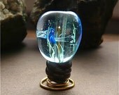 Jellyfish Light Bulb Bead