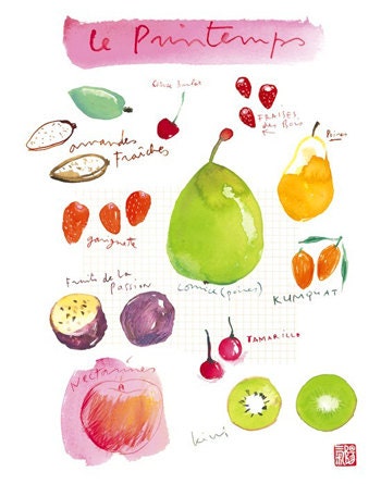 Kitchen art, Seasonal fruit print, French country home, Kitchen decor, watercolor illustration, Food poster