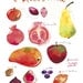 Kitchen art, Seasonal fruit print, French country home, Kitchen decor, watercolor illustration, Food poster