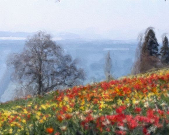 Watercolor Painting TULIPS Flowers 8x10 Art Print Nature Landscape Painting Rhine River