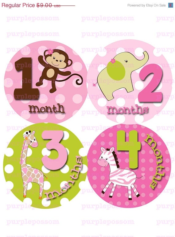 SALE Monthly Onesie Stickers... Jungle Jill Girly Jungle Animals M2M Monthly Onesie Stickers Baby Girl Onesie Stickers Baby Month Stickers