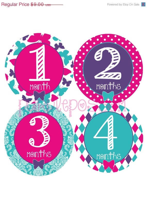 Baby Month Stickers Baby Girl Monthly Onesie Stickers Monthly Onesie Sticker Girl Baby Shower Gift Photo Prop Baby Milestone