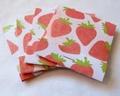 Matchbook Notebook / strawberries