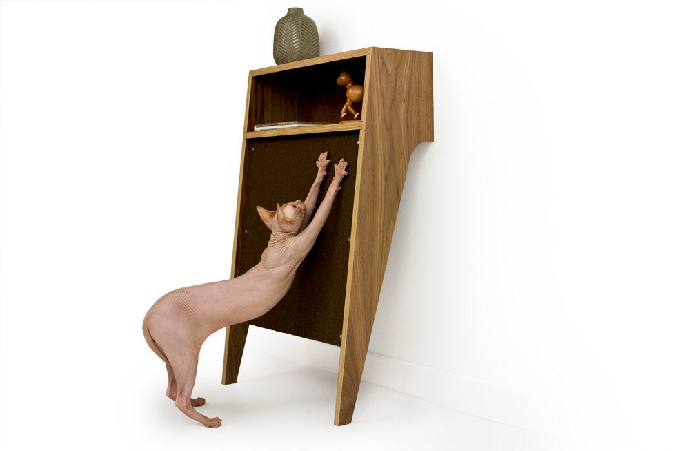SALE - 20% OFF Thru 5/31 - Mid Century Modern Console Table & Cat Scratcher