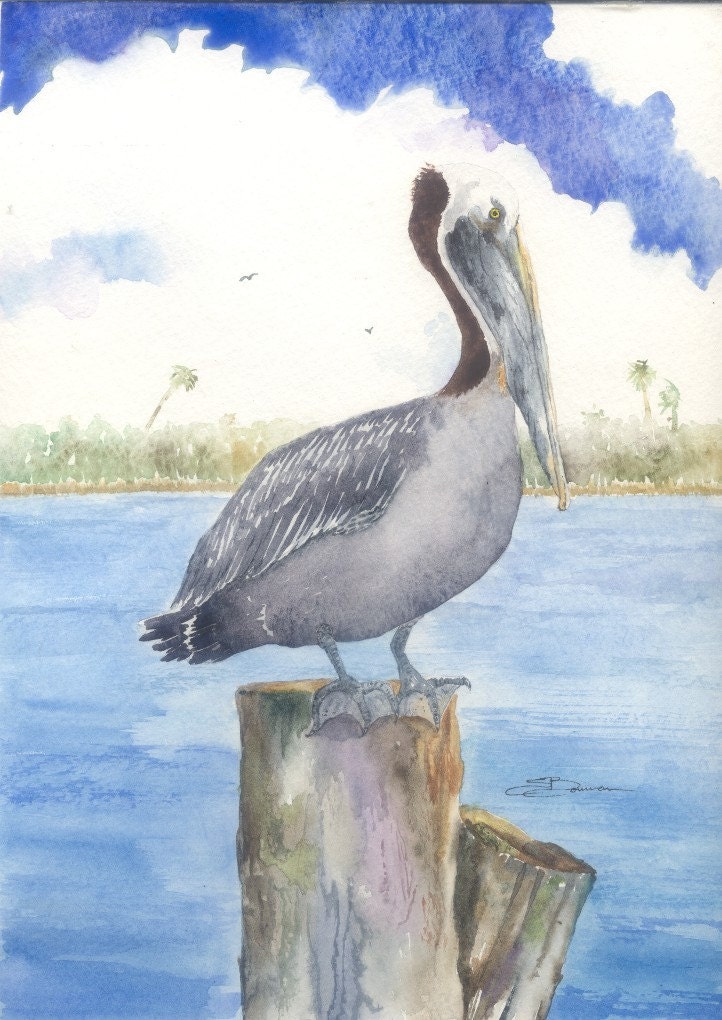 9 by 12 inch original watercolor Bird pelican portrait bowman