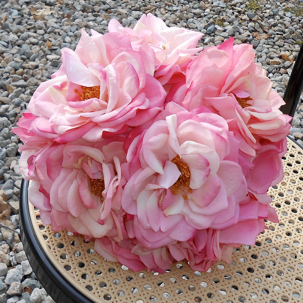 Pink Real Touch Garden Rose Wedding Bouquet ready to ship