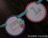 Cute as a Button. Just Born/0-12 mos Picture Hanging Banner. Buttons. Sew. First Birthday Banner. Button Photo Banner. Il_170x135