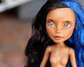 OOAK Monster High Robecca Steam Doll Custom Repaint