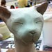 pet pandamophone avatar