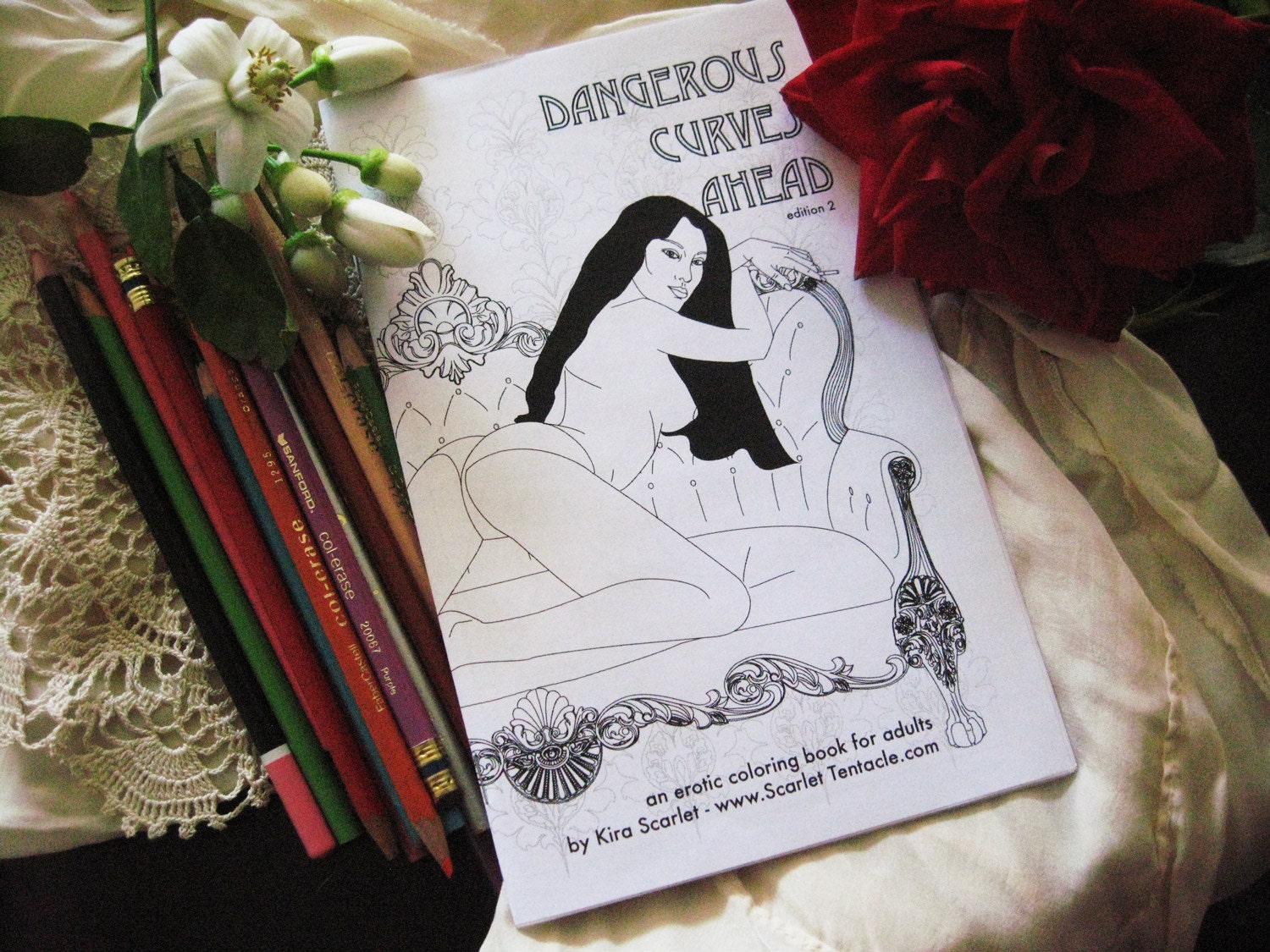 Adult Erotic Coloring Book - More Dangerous Curves Ahead - Sexy Pin Up Girls 2nd Edition - Art Coloring Book from Scarlet Tentacle - Mature